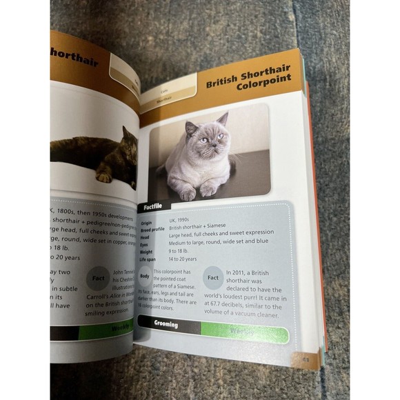 Pocket Books : Cats by Green Android (2019, Trade Paperback) - Picture 4 of 4